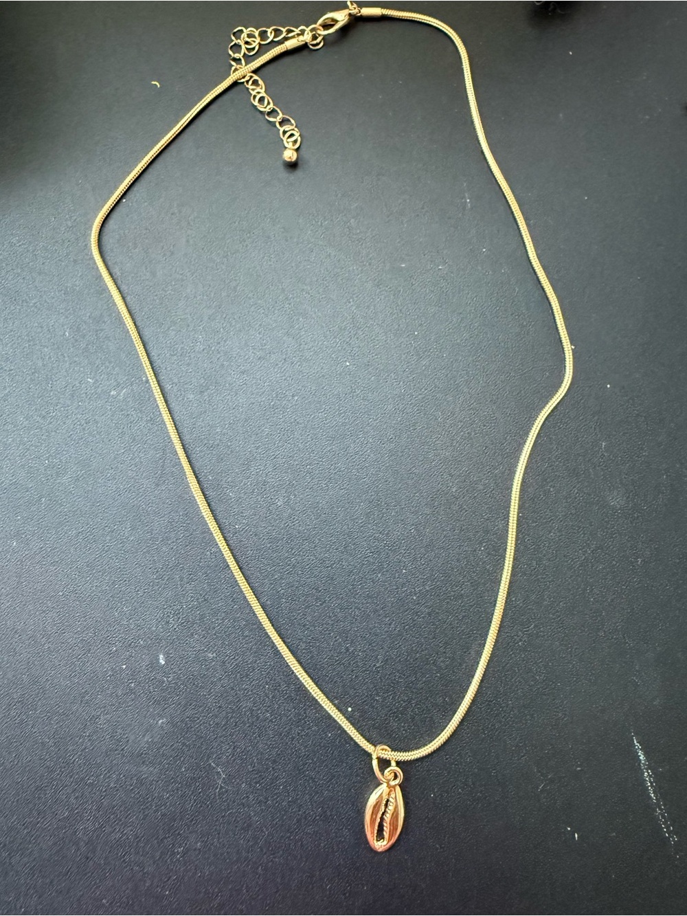 NWOT Gold Shell Necklace